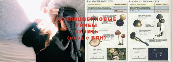 кокаин Алексин