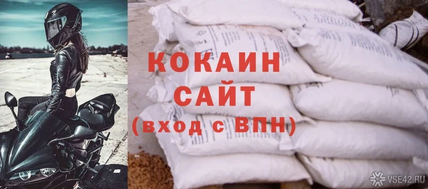 ГАЛЛЮЦИНОГЕННЫЕ ГРИБЫ Магас