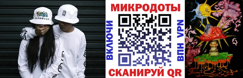 Галлюциногенные грибы Psilocybine cubensis  Махачкала 